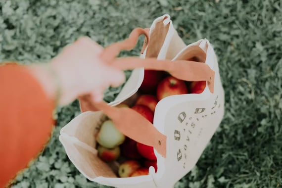 image of a tote bag full of fruits and veggies